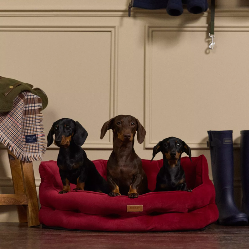 Joules Chesterfield Pet Bed - Burgundy - Large-2