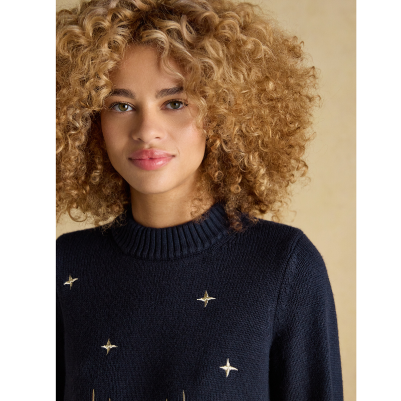 Joules Ladies Noelle Reindeer Embroidered Knitted Christmas Jumper - Navy-4