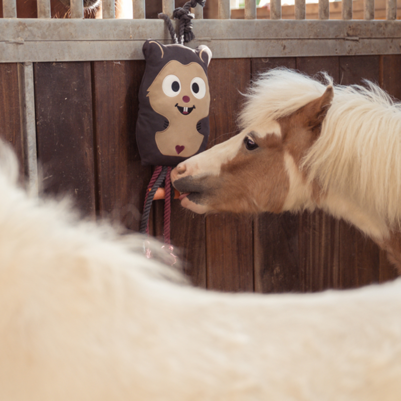 Eskadron Hamster Horse Toy Heritage AW25 - Black Truffle-2