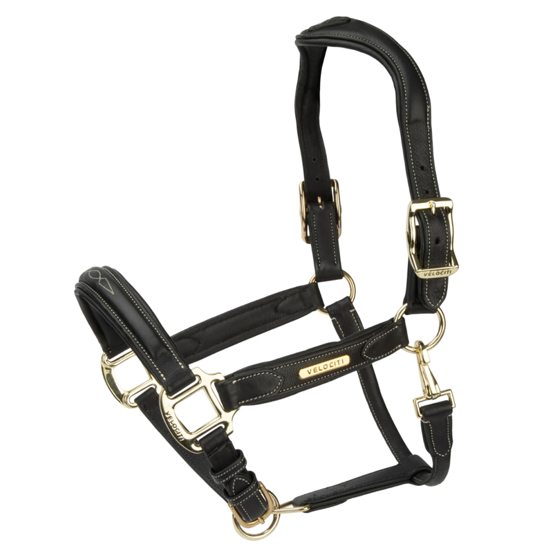 Shires Velociti Rapida Comfort Leather Headcollar - Black