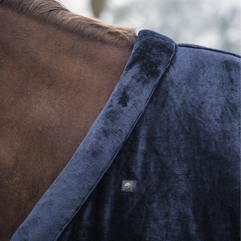 QHP Show Rug - Navy-3