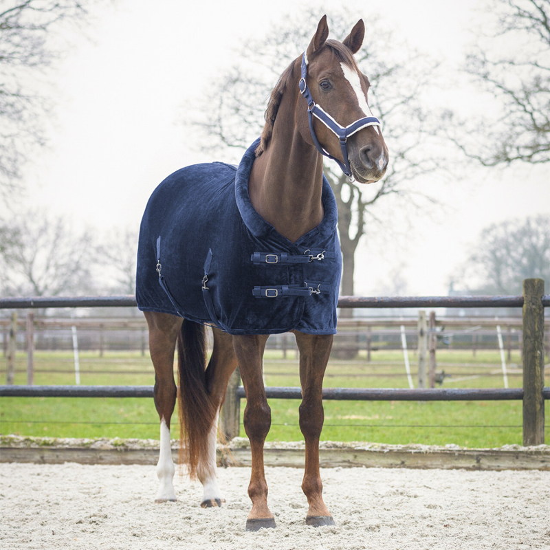 QHP Show Rug - Navy-1