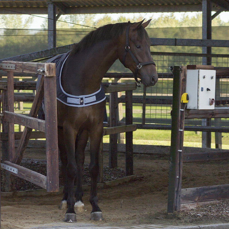 QHP 0g Waterproof Walker Rug - Blue-2