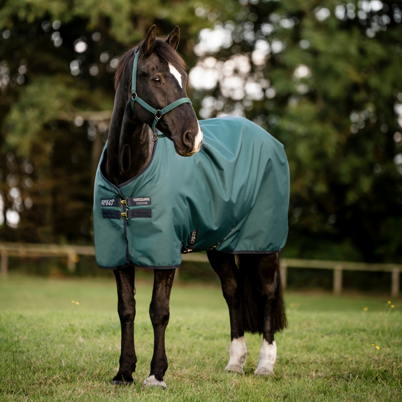Horseware Amigo Ripstop 900D 100g Turnout Rug - Dynasty Green/Navy/Silver
