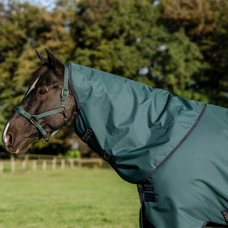 Horseware Amigo Ripstop 900D Plus Pony 50g Turnout Rug - Dynasty Green/Navy Silver-3