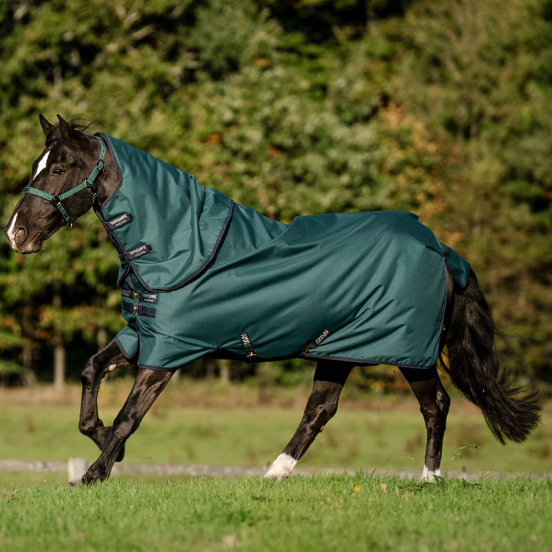 Horseware Amigo Ripstop 900D Plus Pony 50g Turnout Rug - Dynasty Green/Navy Silver