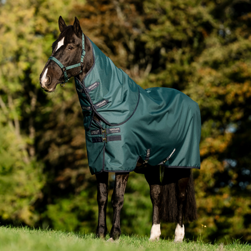 Horseware Amigo Ripstop 900D Plus Pony 50g Turnout Rug - Dynasty Green/Navy Silver-1