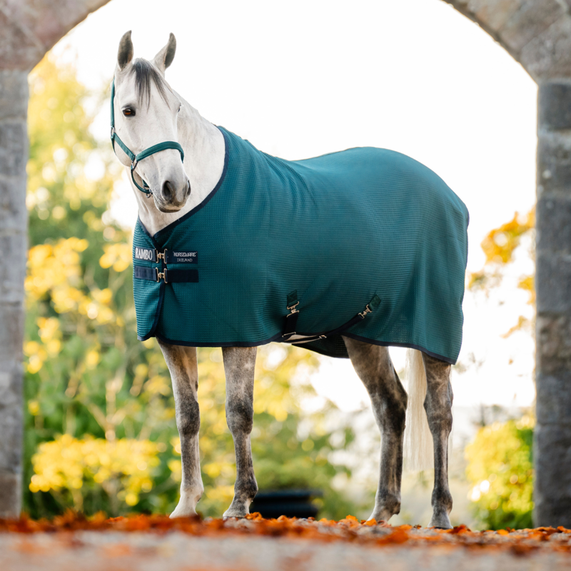 Horseware Rambo Techni Waffle Cooler Rug - Dynasty Green/Navy Silver