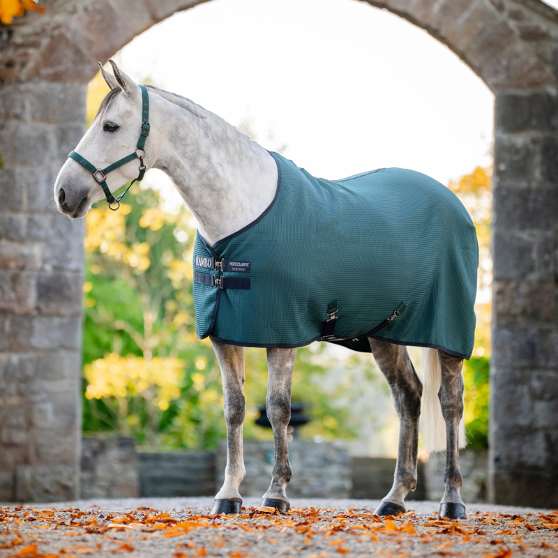Horseware Rambo Techni Waffle Cooler Rug - Dynasty Green/Navy Silver-1