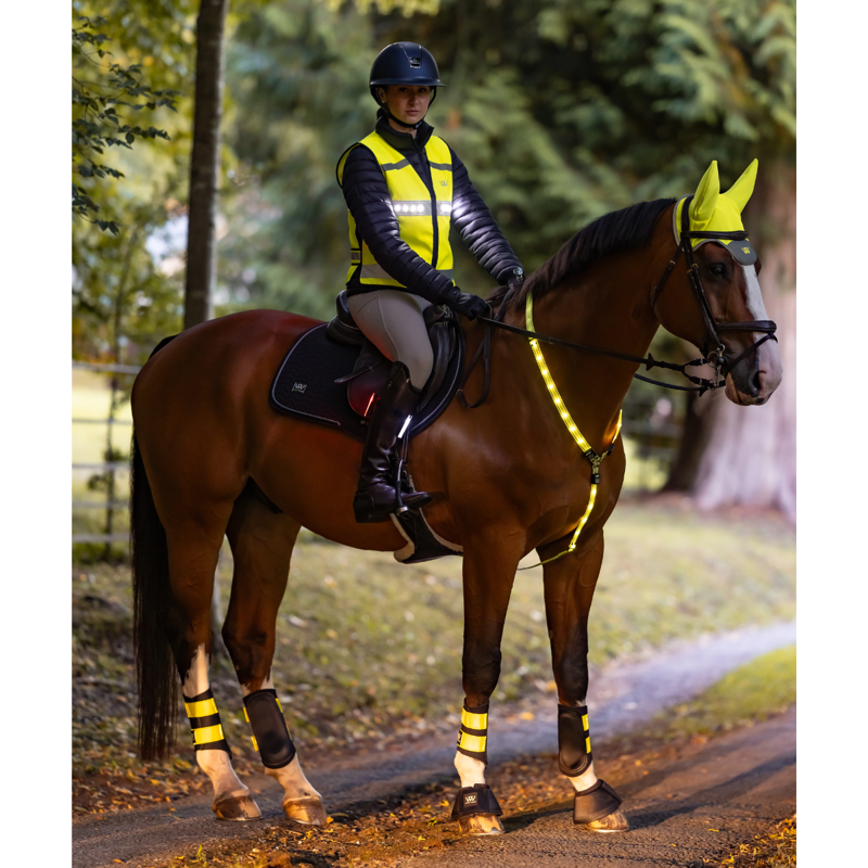 Woof Wear 3-in-1 Rider Safety Lights-2