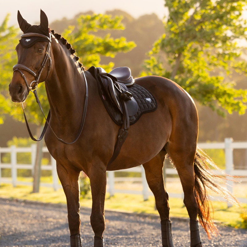 LeMieux Loire Classic GP Square - Black-2