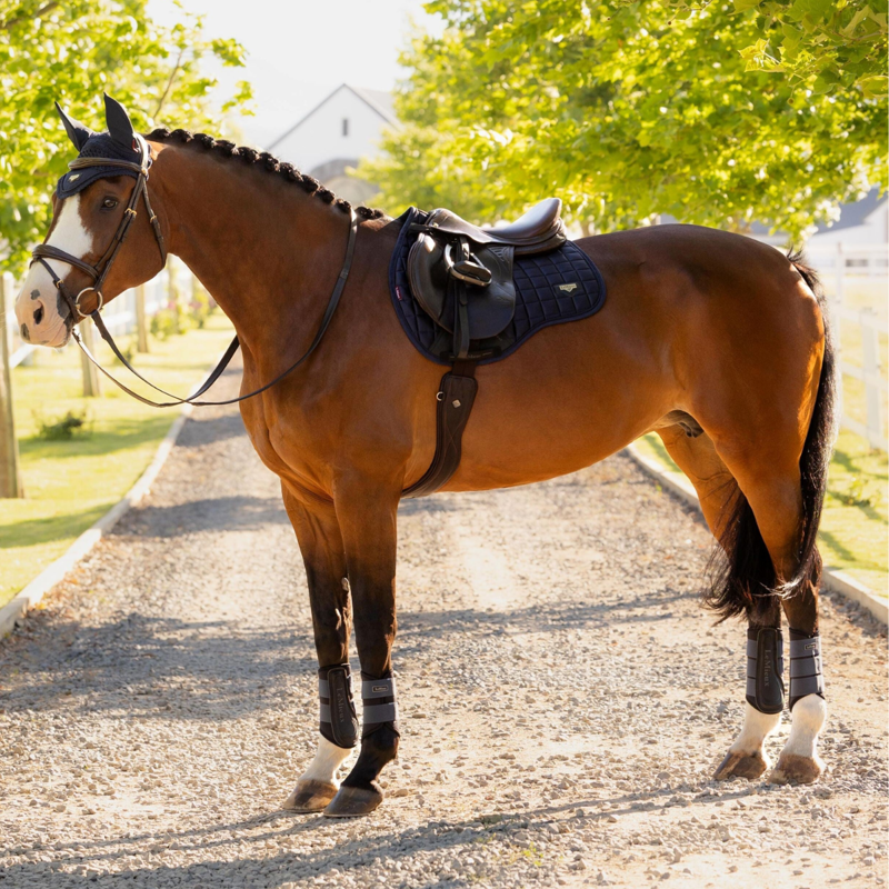 LeMieux Loire Classic GP Square - Navy-2