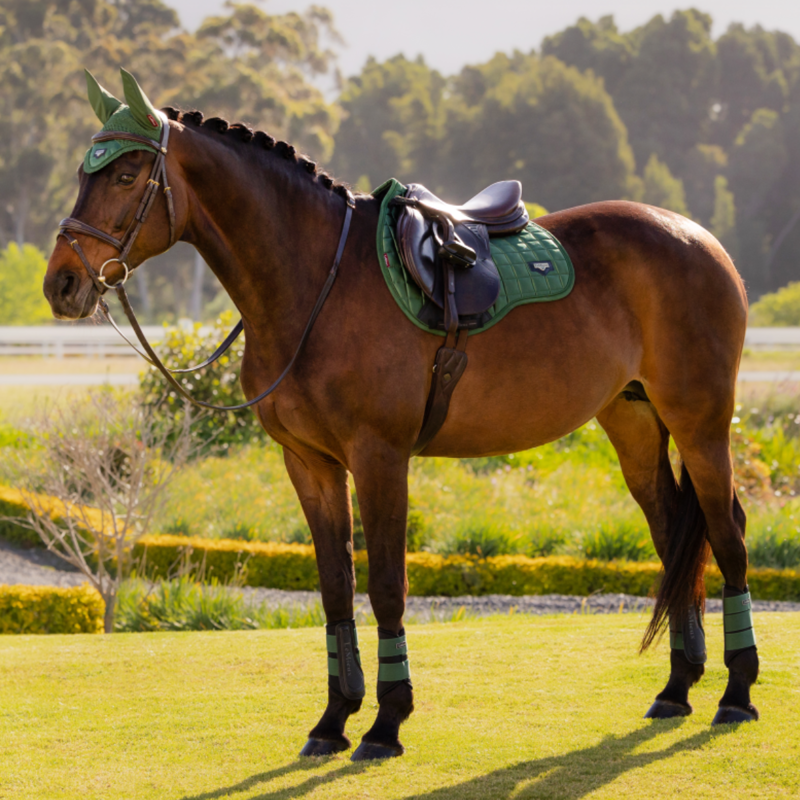 LeMieux Loire Classic GP Square - Hunter Green-2