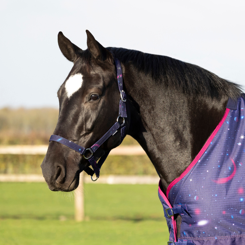 Hy Equestrian Out of this World Head Collar and Lead Rope - Navy/Magenta