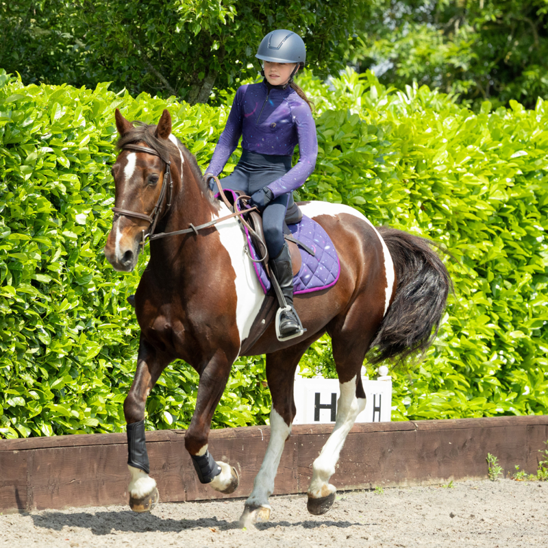 Hy Equestrian Out of this World Saddle Pad - Navy/Magenta-2