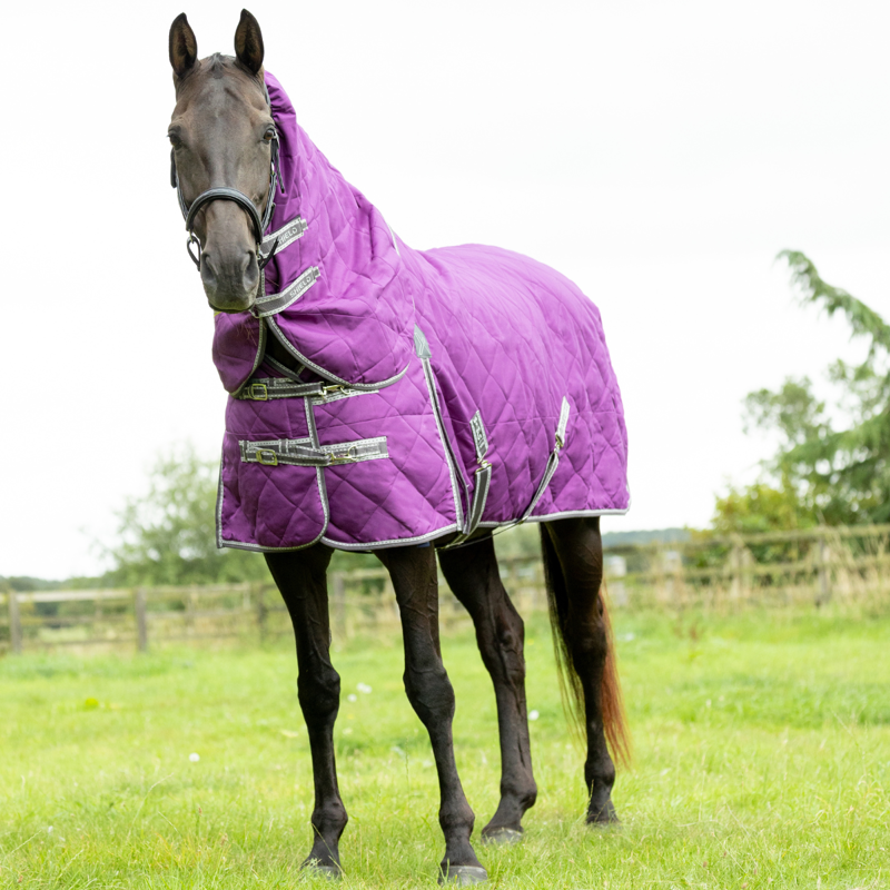 Hy Equestrian DefenceX Shield 100g Stable Rug with Detachable Neck - Purple-1