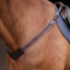 Shires Velociti Rapida Elastic Breastgirth - Havana