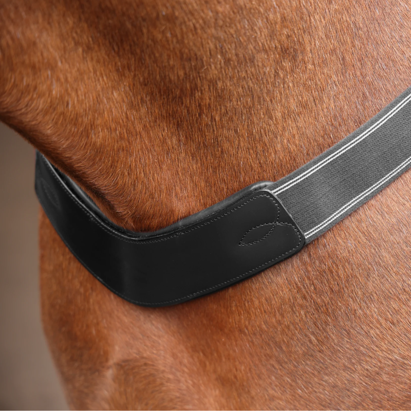 Shires Velociti Rapida Elastic Breastgirth - Black-1