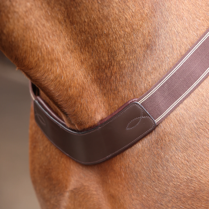 Shires Velociti Rapida Elastic Breastgirth - Havana-1