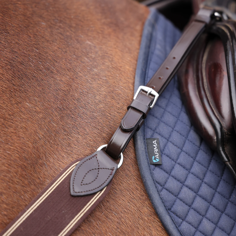Shires Velociti Rapida Elastic Breastgirth - Havana-3
