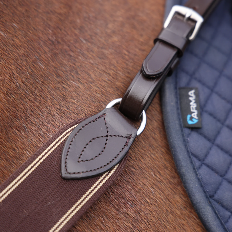 Shires Velociti Rapida Elastic Breastgirth - Havana-2