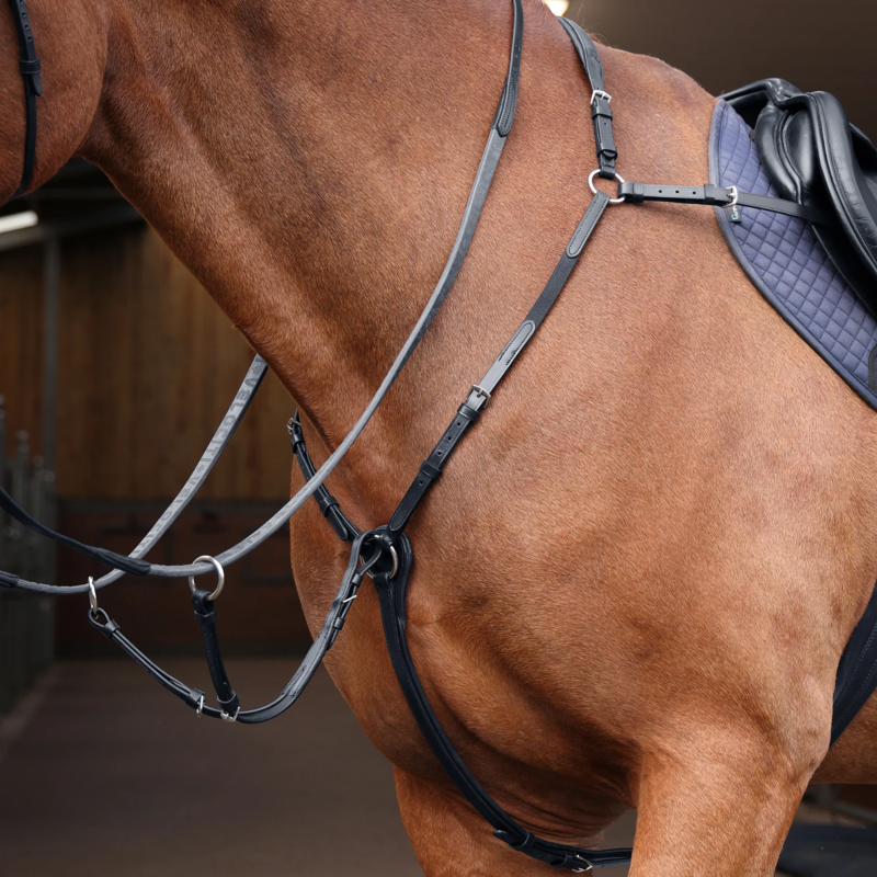 Shires Velociti Rapida Elastic Breastplate - Black