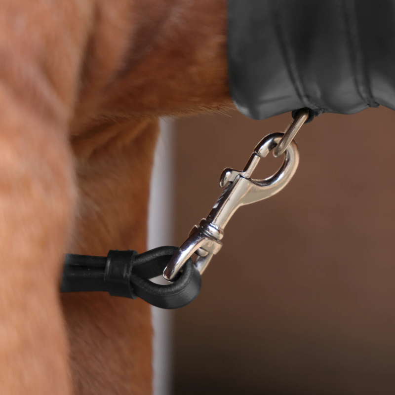 Shires Velociti Rapida Elastic Breastplate - Black-1