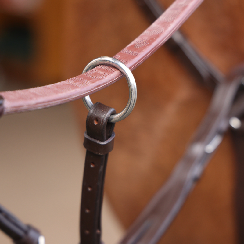 Shires Velociti Rapida Elastic Breastplate - Havana-3