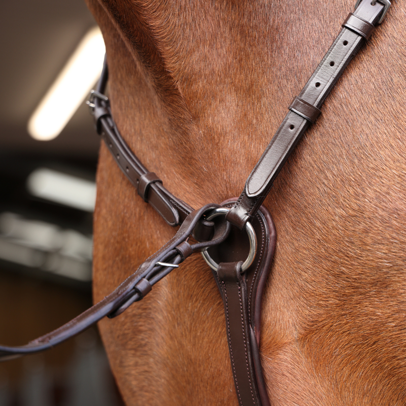 Shires Velociti Rapida Elastic Breastplate - Havana-2