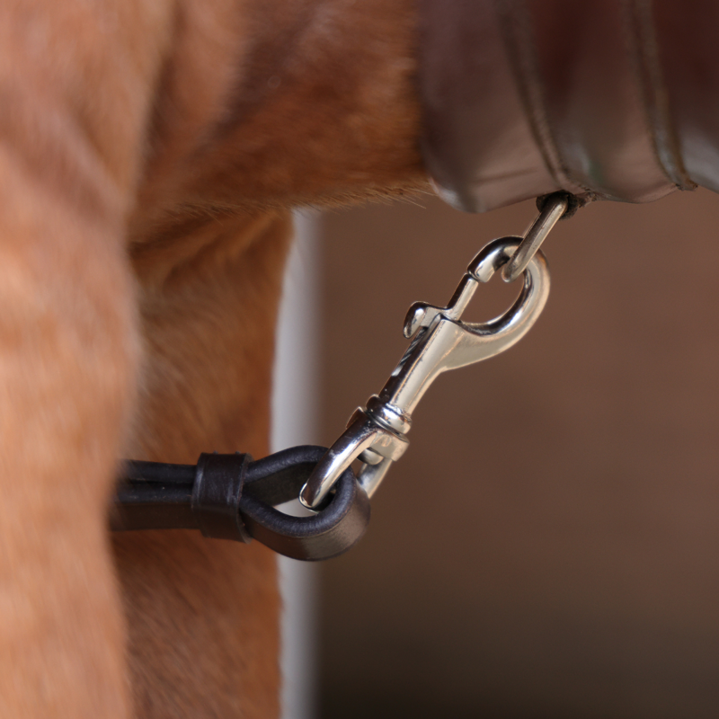 Shires Velociti Rapida Elastic Breastplate - Havana-1