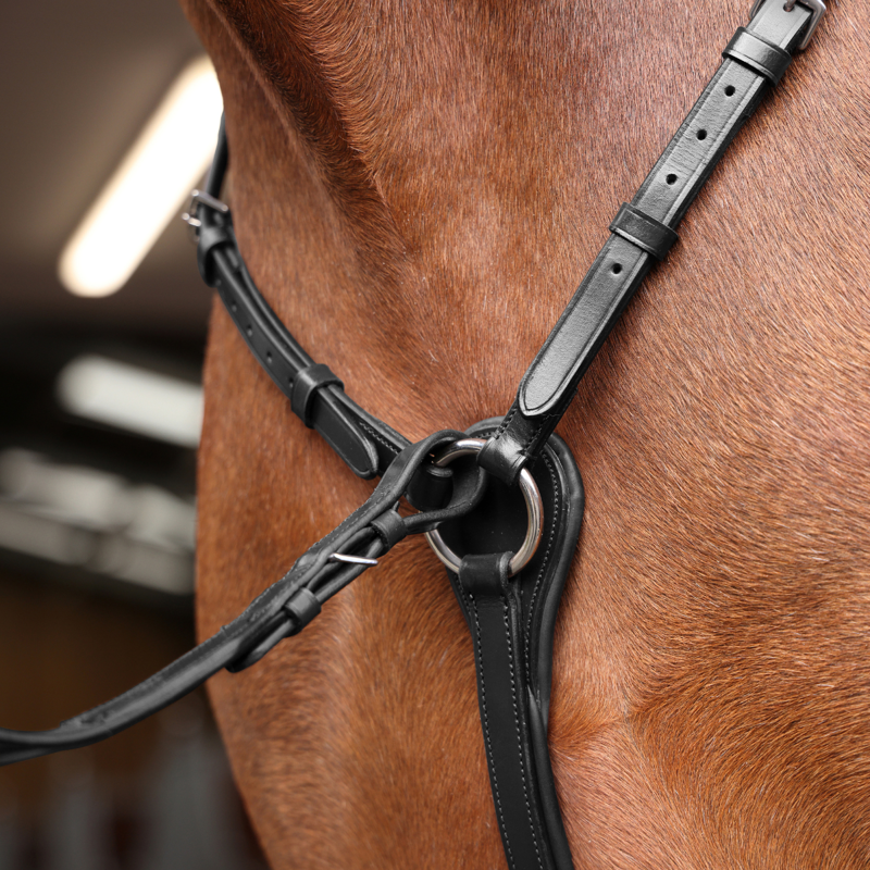 Shires Velociti Rapida Elastic Breastplate - Black-2
