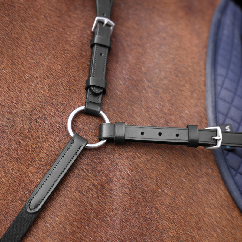 Shires Velociti Rapida Elastic Breastplate - Black-4