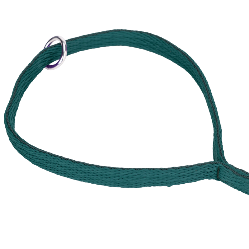 Shires Digby and Fox Cushion Web Lead - Green-3