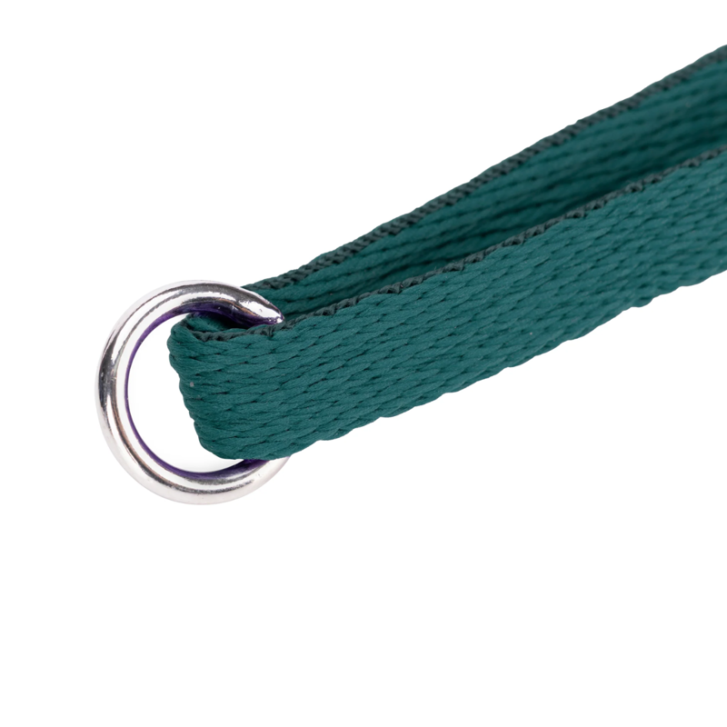 Shires Digby and Fox Cushion Web Lead - Green-5