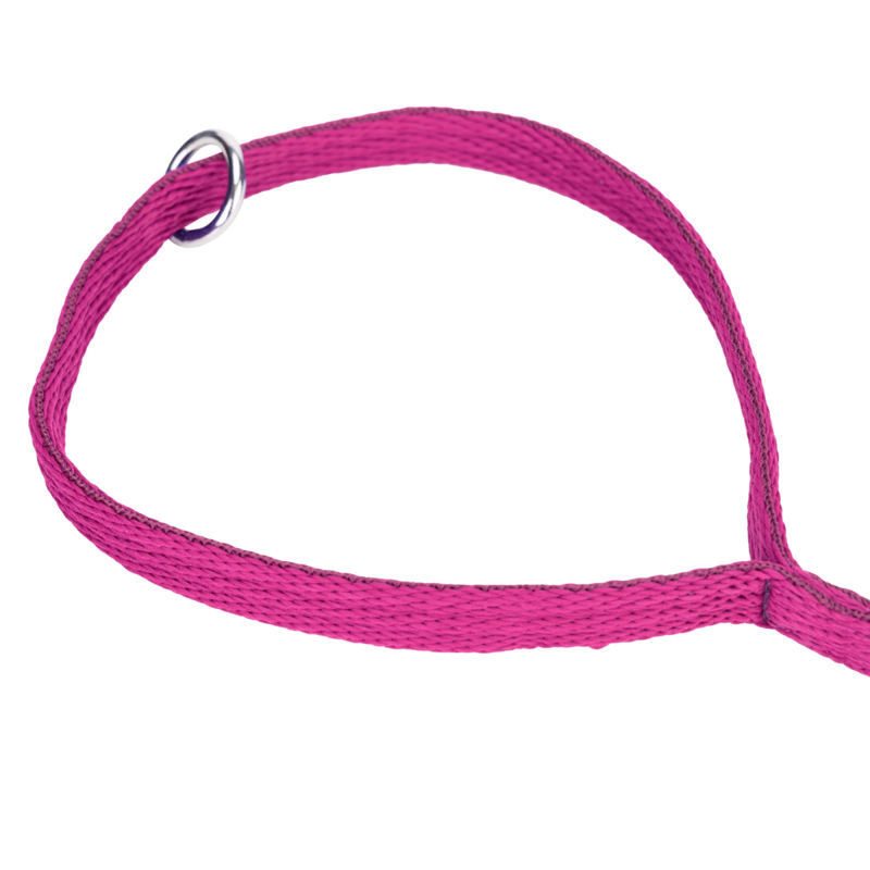 Shires Digby and Fox Cushion Web Lead - Pink-3
