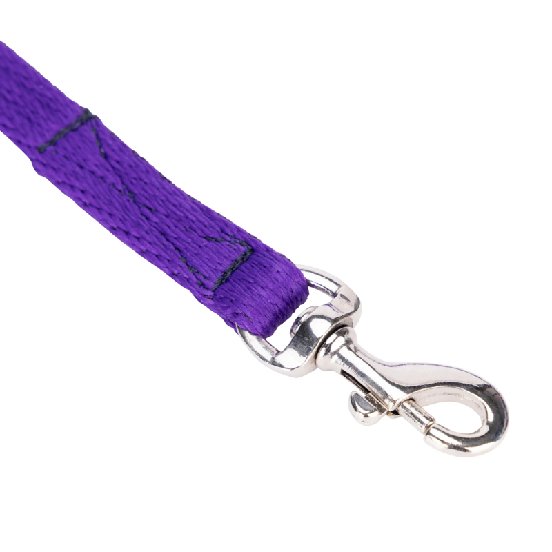 Shires Digby and Fox Cushion Web Lead - Purple-4