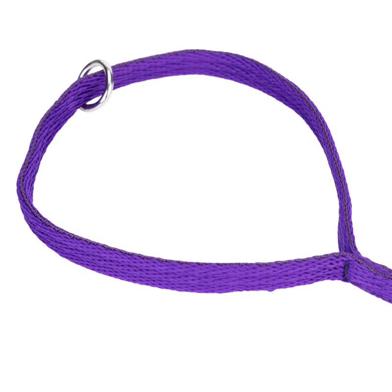 Shires Digby and Fox Cushion Web Lead - Purple-3