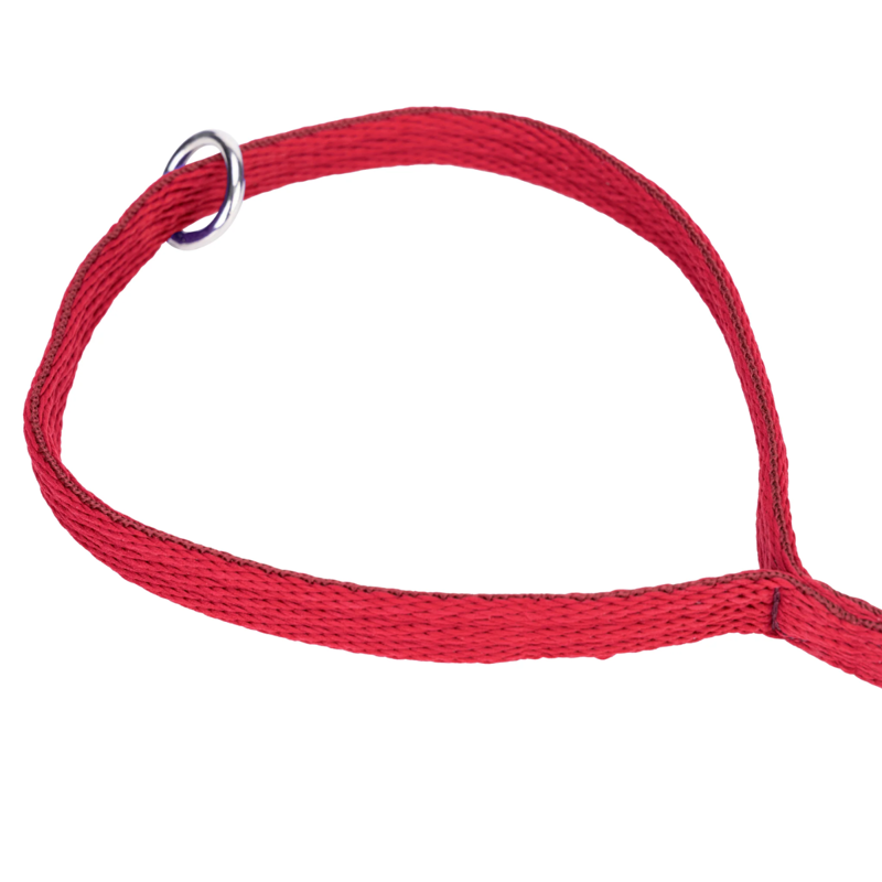 Shires Digby and Fox Cushion Web Lead - Red-2