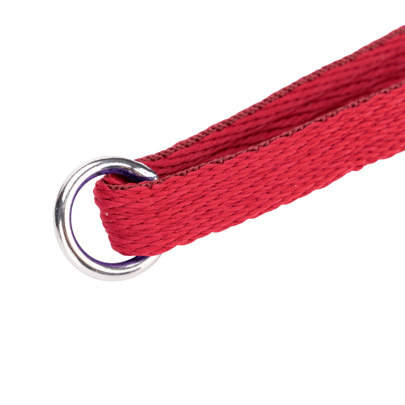 Shires Digby and Fox Cushion Web Lead - Red-5