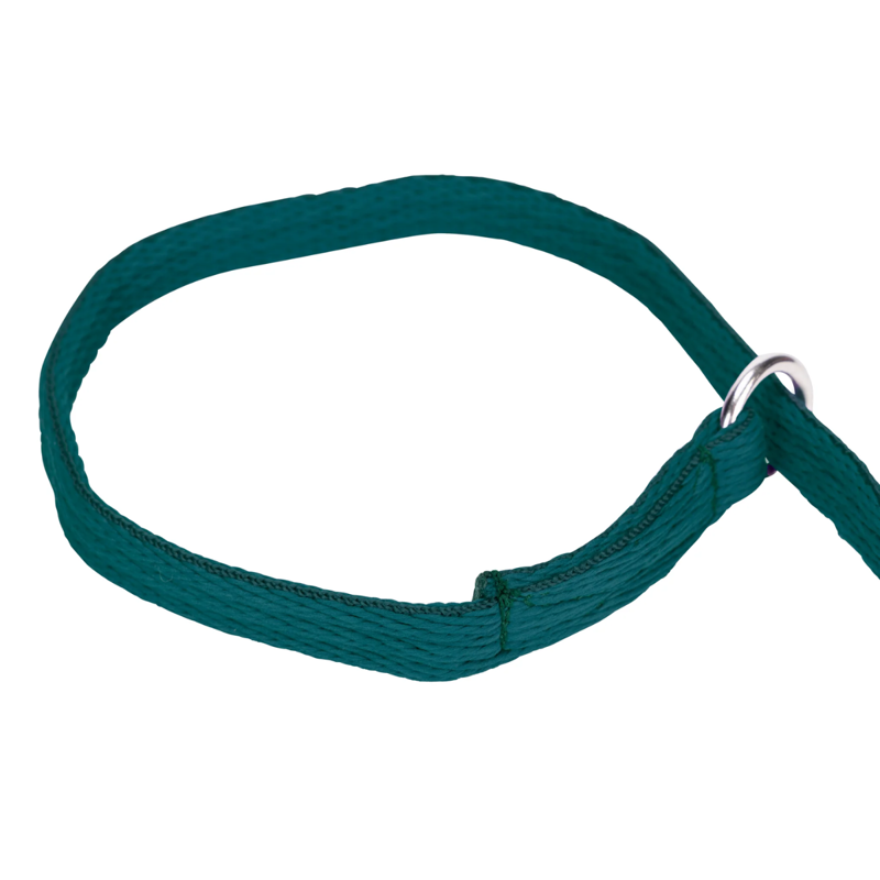 Shires Digby And Fox Cushion Web Slip Lead - Green-3