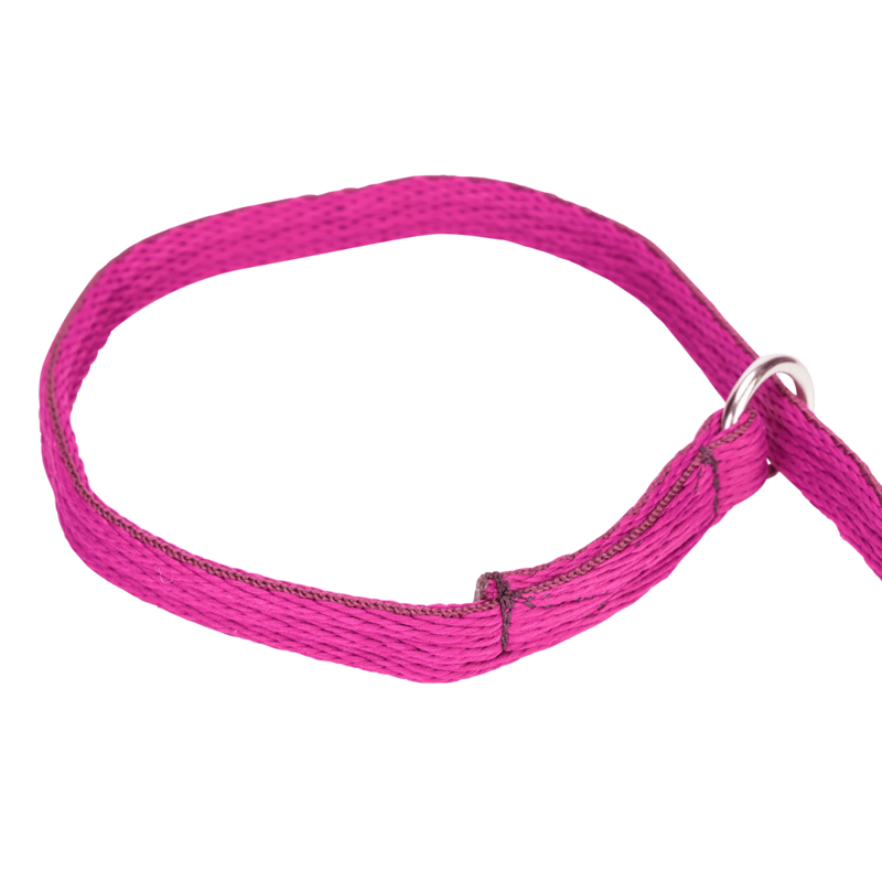 Shires Digby And Fox Cushion Web Slip Lead - Pink-3