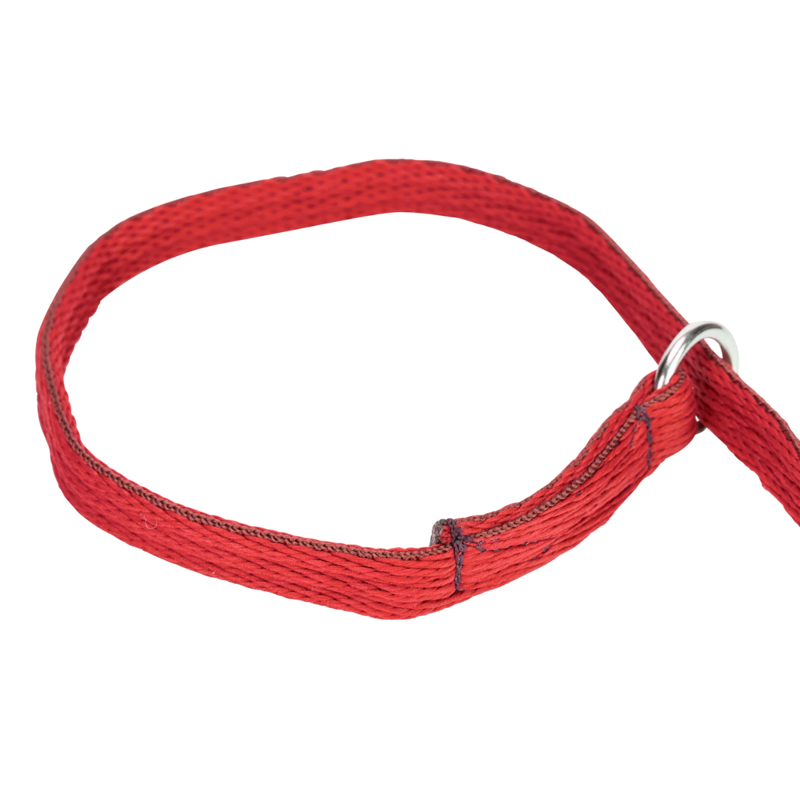 Shires Digby And Fox Cushion Web Slip Lead - Red-3