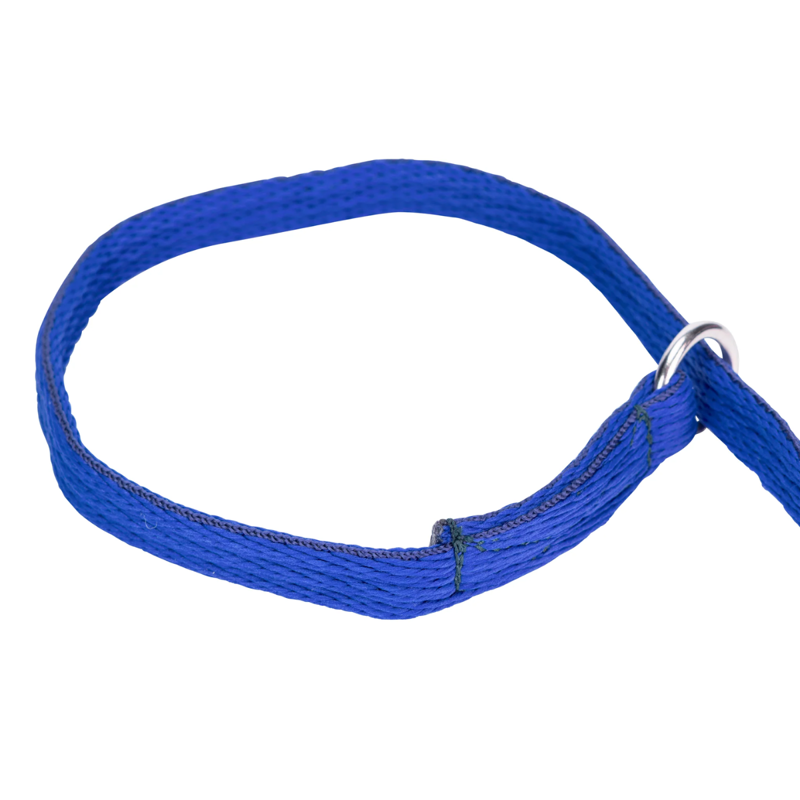 Shires Digby And Fox Cushion Web Slip Lead - Royal-3
