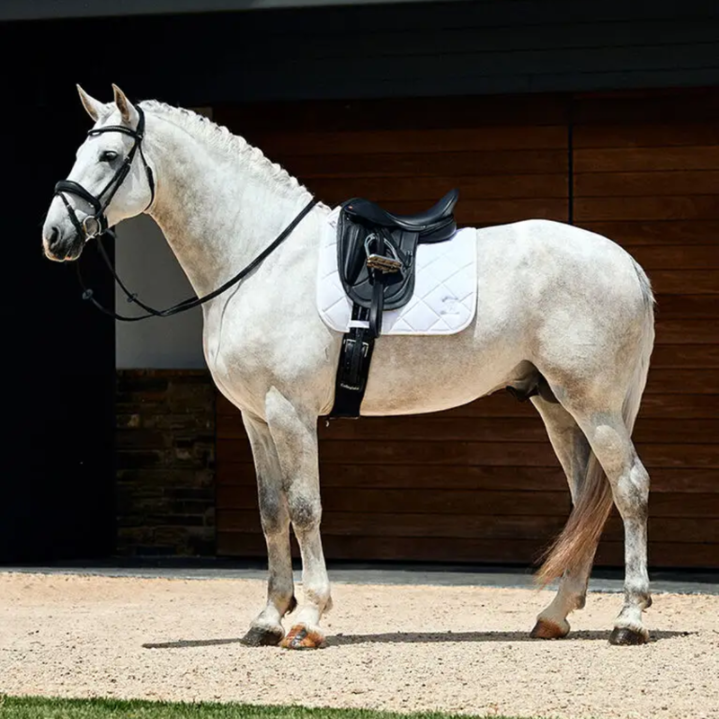 WeatherBeeta Softshell Pro 3D Air-Tec Dressage Saddlepad - White-4
