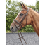 John Whitaker Barton Bling Flash Bridle - Havana