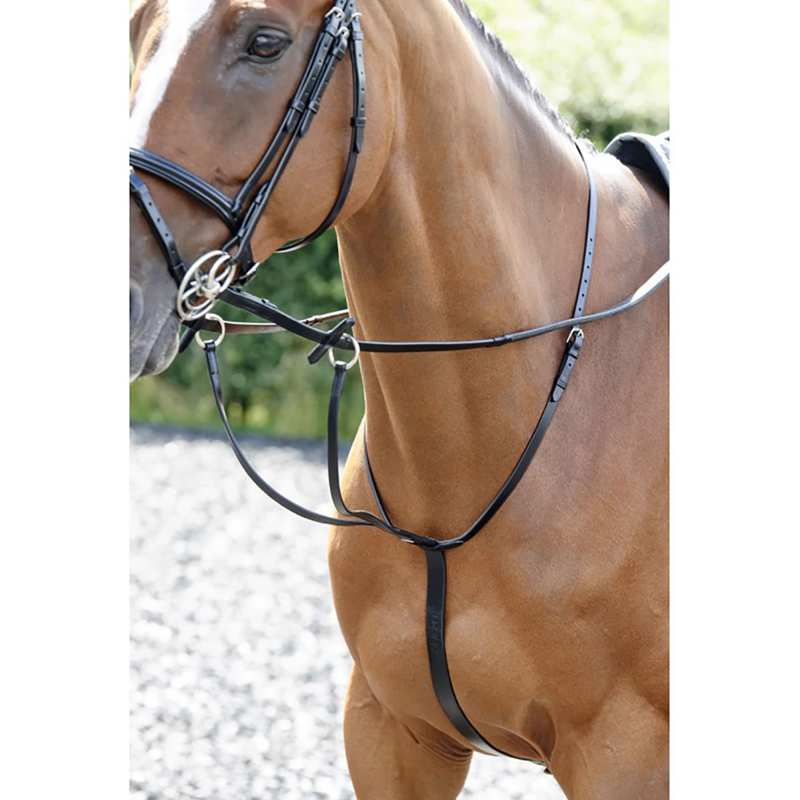 John Whitaker Barton Martingale - Black