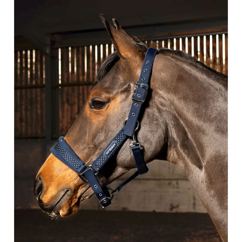 John Whitaker San Francisco Headcollar - Navy