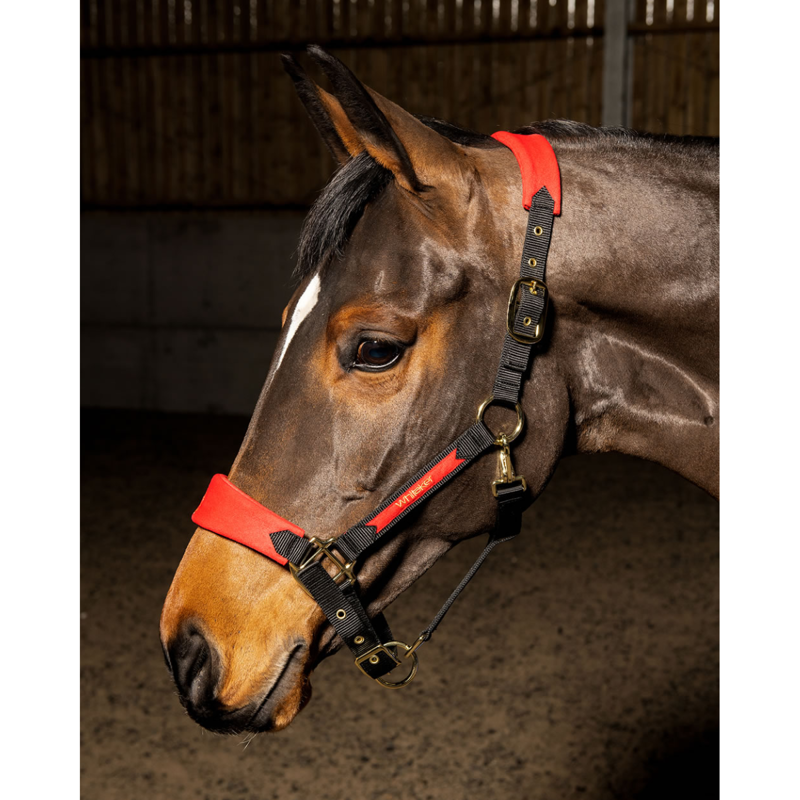 John Whitaker Harewood Headcollar - Red
