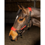 John Whitaker Harewood Headcollar - Red