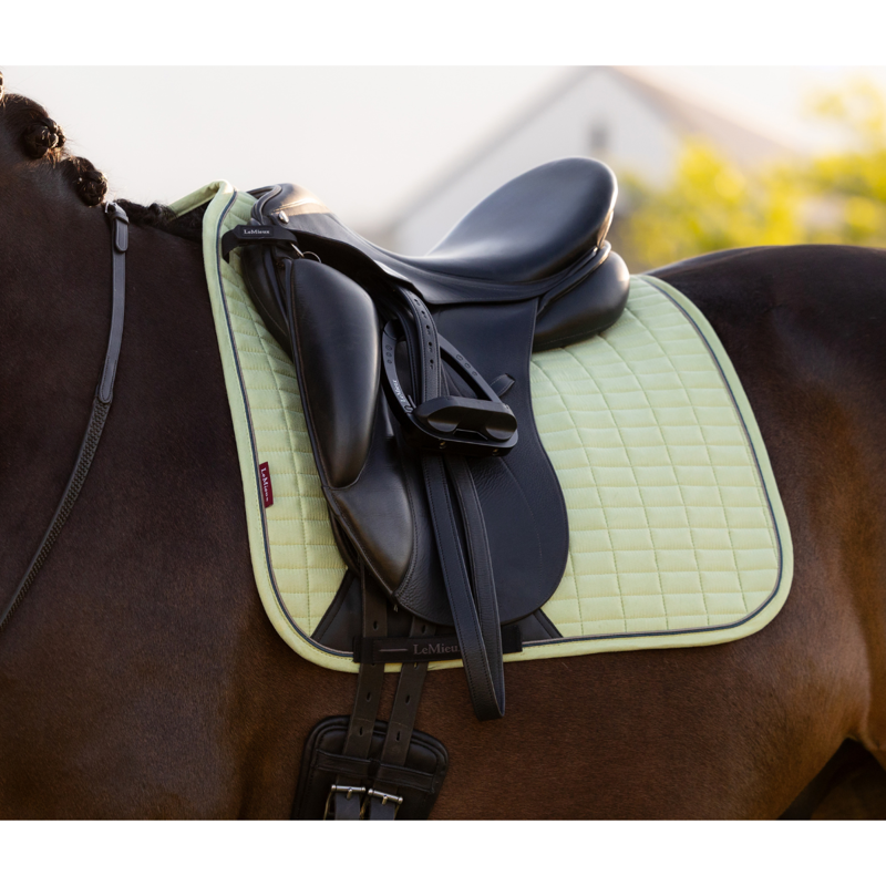LeMieux Suede Dressage Square - Macaron-1